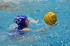 WWPolo vs CC  Wheaton College Women’s Water Polo compete in their sports inaugural match vs Connecticut College. - Photo By: KEITH NORDSTROM : Wheaton, water polo, inaugural